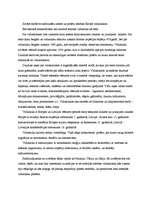 Referāts 'Zemes tiesību un pilsētu tiesību salīdzinājums Eiropā viduslaikos', 3.