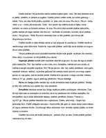 Referāts 'Zemes tiesību un pilsētu tiesību salīdzinājums Eiropā viduslaikos', 8.