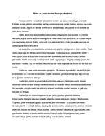 Referāts 'Zemes tiesību un pilsētu tiesību salīdzinājums Eiropā viduslaikos', 12.