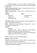 Referāts 'Maršruts pa Kurzemi', 6.