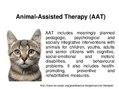Prezentācija 'Animal-Assisted Therapy', 1.