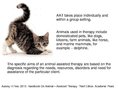 Prezentācija 'Animal-Assisted Therapy', 6.