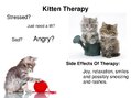Prezentācija 'Animal-Assisted Therapy', 7.