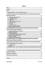 Diplomdarbs 'Starptautiskās lidostas "Rīga" darbība individuālo gaisa pārvadātāju apkalpošanā', 2.