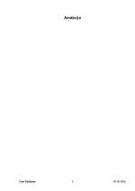 Diplomdarbs 'Starptautiskās lidostas "Rīga" darbība individuālo gaisa pārvadātāju apkalpošanā', 3.