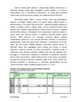 Diplomdarbs 'Starptautiskās lidostas "Rīga" darbība individuālo gaisa pārvadātāju apkalpošanā', 13.