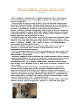 Eseja 'Настоящая цена красоты', 1.