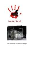 Eseja 'Настоящая цена красоты', 2.