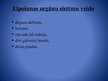 Prezentācija 'Elpošanas orgānu sistēma', 3.