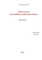 Referāts 'Mīlestības izpratne dažādu psihologu un psihoterapeitu skatījumā', 1.