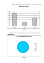 Referāts 'Ūdenspīpe un jaunieši', 19.