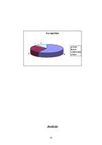 Referāts 'Kredītkartes Latvijas jauniešu vidū', 29.