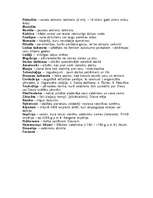 Konspekts 'Jēdzieni vēsturē', 1.