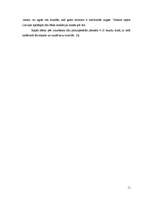 Referāts 'Ziemas rapša ražošanas plāns zemnieku saimniecībā „Ievas”', 11.