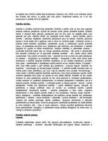 Konspekts 'Romiešu tiesības', 11.