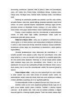 Referāts 'Valūtas konvertējamība, ieviešana un būtība', 5.