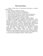 Biznesa plāns 'Studentu mītne', 1.