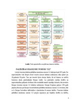 Referāts 'Valsts ugunsdzēsības un glābšanas dienests', 5.