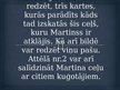 Prezentācija 'Martinss Frobišers', 10.