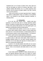 Referāts 'Personālvadība organizācijā', 3.