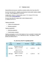 Biznesa plāns 'Biznesa plāns "Hotel SPA"', 6.