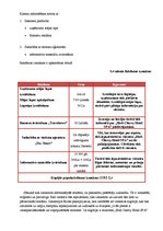 Biznesa plāns 'Biznesa plāns "Hotel SPA"', 16.