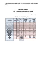 Biznesa plāns 'Biznesa plāns "Hotel SPA"', 17.