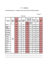 Biznesa plāns 'Biznesa plāns "Hotel SPA"', 19.