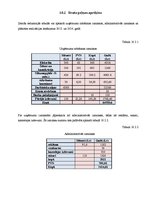 Biznesa plāns 'Biznesa plāns "Hotel SPA"', 21.