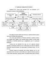 Prakses atskaite 'SIA "Tukuma gaļas kombināts Lat"', 5.