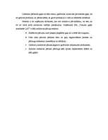 Prakses atskaite 'SIA "Tukuma gaļas kombināts Lat"', 7.