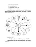 Prakses atskaite 'SIA "Tukuma gaļas kombināts Lat"', 9.