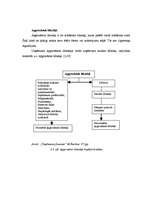 Prakses atskaite 'SIA "Tukuma gaļas kombināts Lat"', 16.