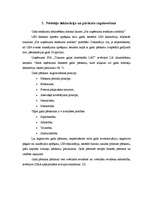 Prakses atskaite 'SIA "Tukuma gaļas kombināts Lat"', 19.