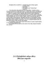 Referāts 'Ekoloģiskais dārzs pie Zemgales vidusskolas', 11.