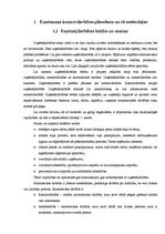 Biznesa plāns 'Tetovēšanas salona ekonomiskās darbības', 4.