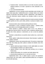 Biznesa plāns 'Tetovēšanas salona ekonomiskās darbības', 5.