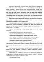 Biznesa plāns 'Tetovēšanas salona ekonomiskās darbības', 10.