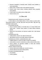 Biznesa plāns 'Tetovēšanas salona ekonomiskās darbības', 15.