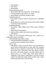 Biznesa plāns 'Tetovēšanas salona ekonomiskās darbības', 16.