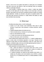 Biznesa plāns 'Tetovēšanas salona ekonomiskās darbības', 27.