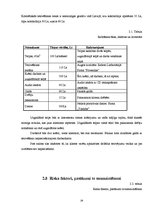 Biznesa plāns 'Tetovēšanas salona ekonomiskās darbības', 29.