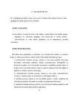 Referāts 'Ilgtspējīga būvniecība', 13.