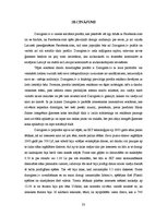 Referāts 'Zīmols draugiem.lv', 33.