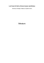 Paraugs 'Peldētāja ēdienkarte', 1.