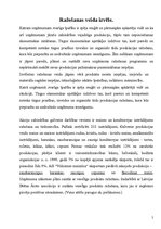 Prakses atskaite 'Prakses atskaite a/s "Vidzemes maiznīca"', 5.