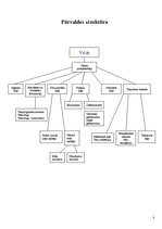 Prakses atskaite 'Prakses atskaite a/s "Vidzemes maiznīca"', 8.