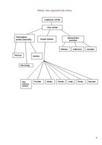 Prakses atskaite 'Prakses atskaite a/s "Vidzemes maiznīca"', 9.