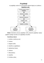 Prakses atskaite 'Prakses atskaite a/s "Vidzemes maiznīca"', 16.
