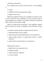 Prakses atskaite 'Prakses atskaite a/s "Vidzemes maiznīca"', 17.